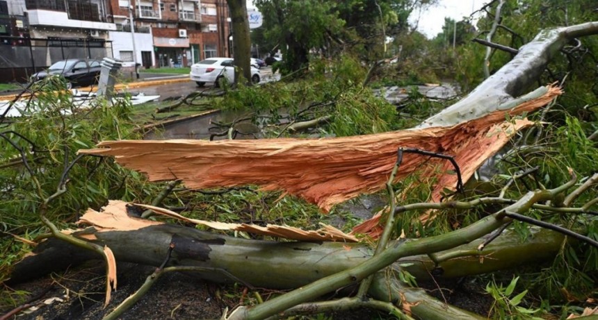  Tras el temporal, en La Plata trabajan 