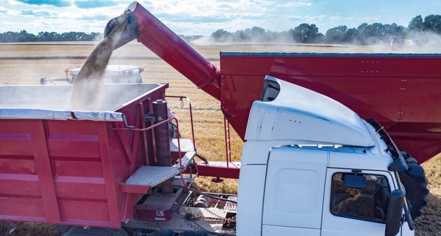  Impulsada por "El Ni&ntilde;o", la producci&oacute;n agr&iacute;cola 2023/24 crecer&iacute;a cerca del 40% 