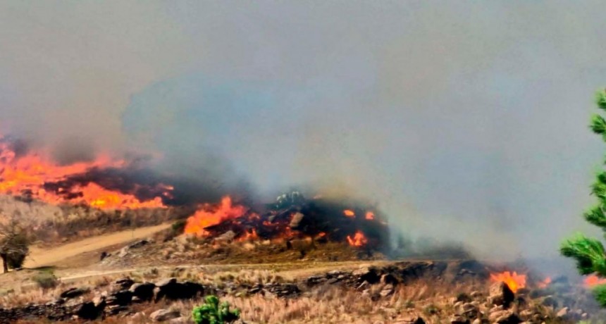  Impulsan modificar las autorizaciones de quemas de tierras 