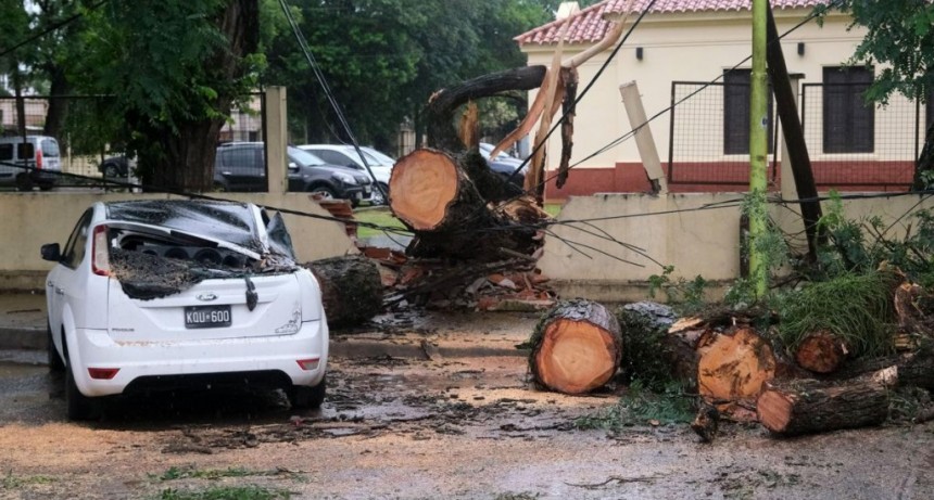  Fuerte temporal en Corrientes: voladura de techos, árboles caídos y cortes de luz 