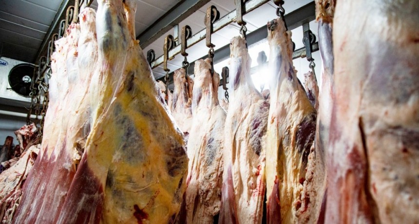  A partir del lunes próximo ya no habrá restricciones para la exportación de cortes bovinos 